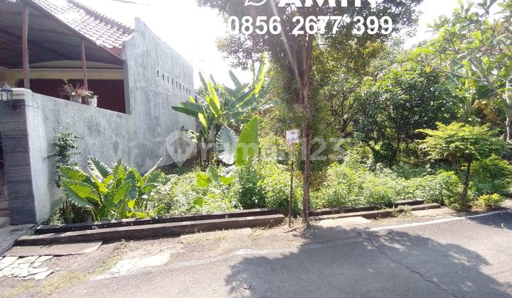 Tanah dekat Undip di Mulawarman 1