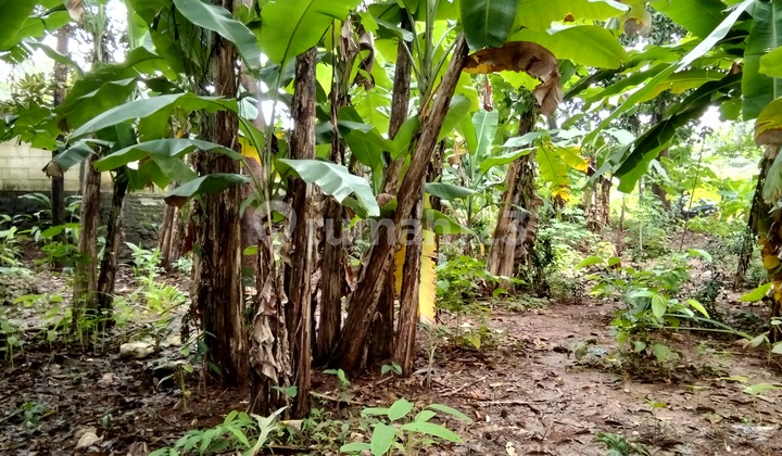 Kavling Mepet Unnes Semarang 1