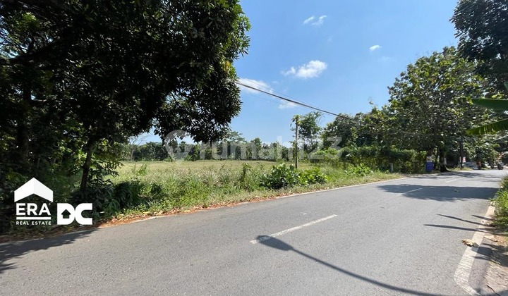 Tanah Siap Bangun Dekat Undip 1