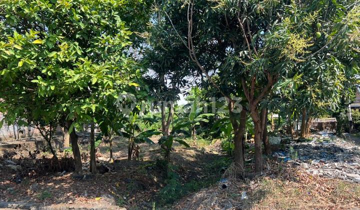 Tanah Siap Bangun Lokasi Bagus Di Ganesha Pedurungan 2