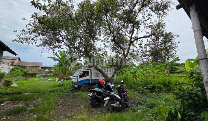 Land in a Strategic Location Suitable for a Boarding House Business in Lamper, Semarang. 2