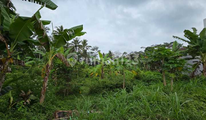 Investment Ready Land with Profitable Returns in Tengaran, Salatiga