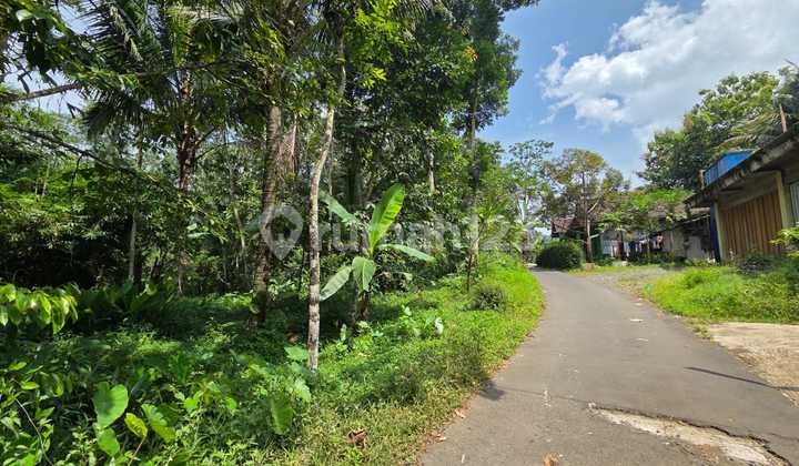 Tanah Luas Siap Pakai di Petet Gading Tuntang 2