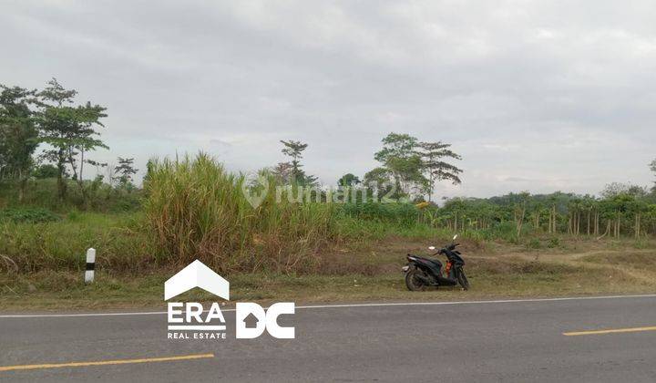 Tanah Murah Pinggir Jalan Lingkar Selatan Jawa Klirong Kebumen 2