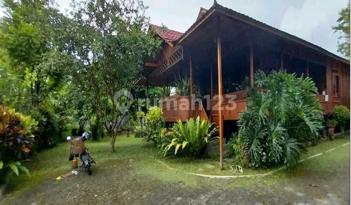 Wooden House Suitable for Guest House in Ngaglik, Sleman, Yogyakarta 2