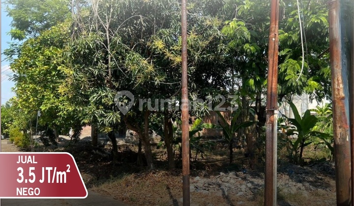 Tanah Siap Bangun Lokasi Bagus Di Ganesha Pedurungan 1
