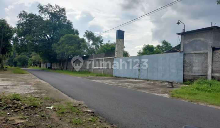 Former Plywood Factory Warehouse in Polokarto, Sukoharjo, Solo Former Plywood Factory Warehouse in Polokarto, Sukoharjo, Solo