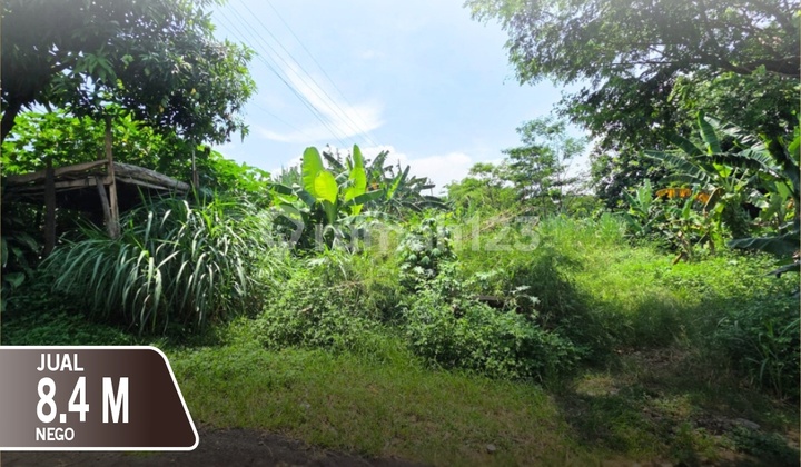 Tanah Shm Lokasi Strategis Pinggir Jalan Di Prof Hamka Ngaliyan