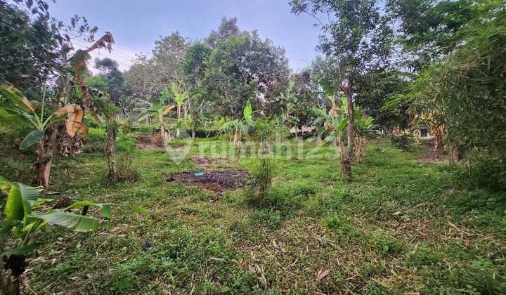 Tanah Siap Bangun Dekat Puskesmas Mijen Di Amarta Cangkiran Mijen 1