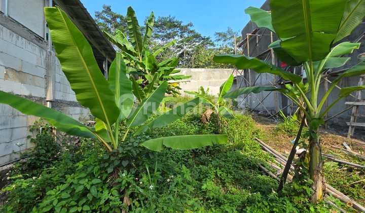 Tanah Murah Lingkungan Kos Di Sringging Patemon Gunung Pati 2