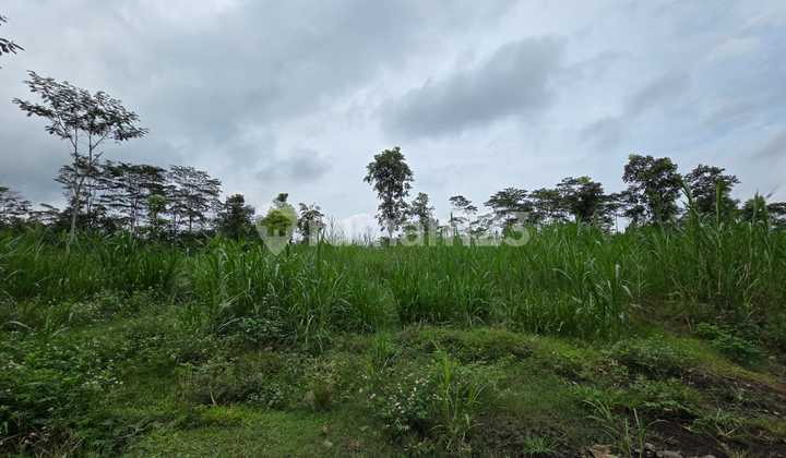 Tanah Zona Industri 1,5 Ha di Tengaran Semarang 1