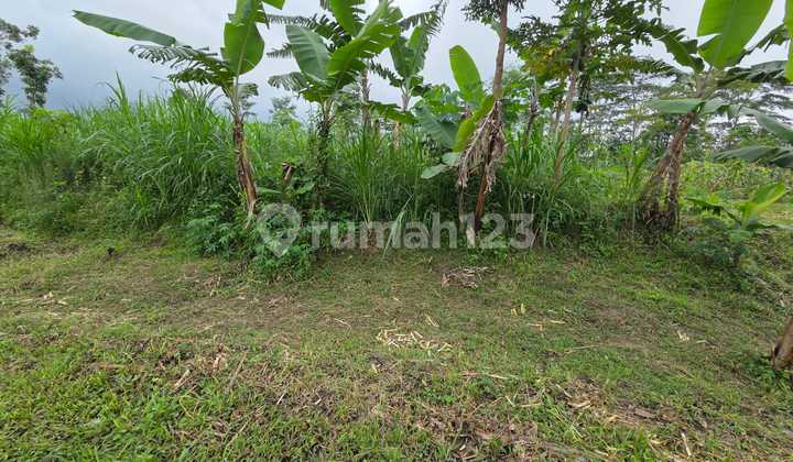 Tanah Zona Industri 1,5 Ha di Tengaran Semarang 2