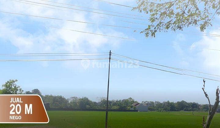 Tanah Strategis Pinggir Jalan Raya Dekat Tugu Tani Grobogan Purwodadi 1