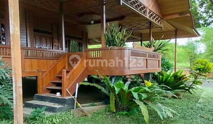Rumah Kayu Cocok Buat Guest House Di Ngaglik Sleman Yogyakarta