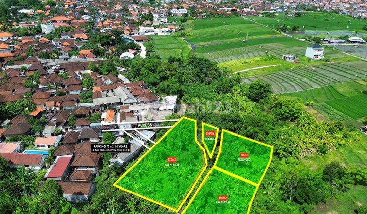 Cheap Land Suitable For Housing Near Berawa North Canggu 1