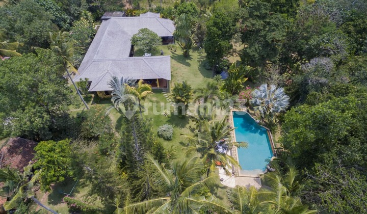 Luxury Villa Cepaka 4 BR Spacious Garden Tabanan Bali