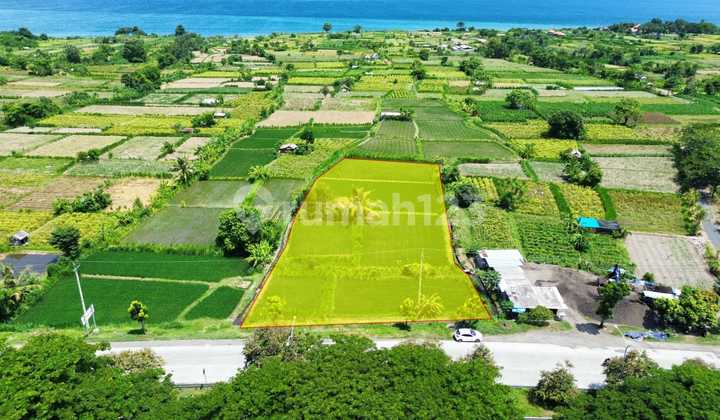 Tanah 29,7 Are SHM Dekat Pantai Batu Tumpeng Bali
