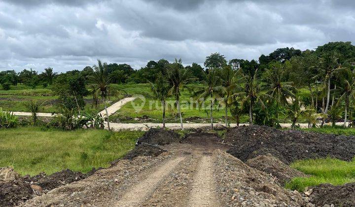 Tanah Start From 1 Are View Sawah Dekat Pantai Kedungu Tabanan 2