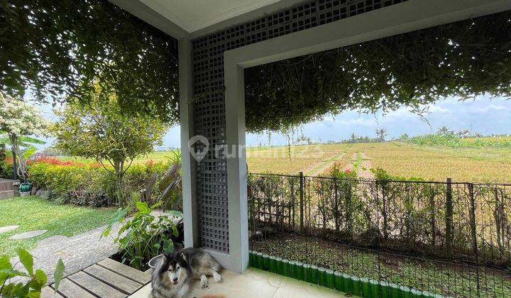 3 BR Villa with Large Garden View of Kaba Kaba Rice Fields, Tabanan, Bali 2