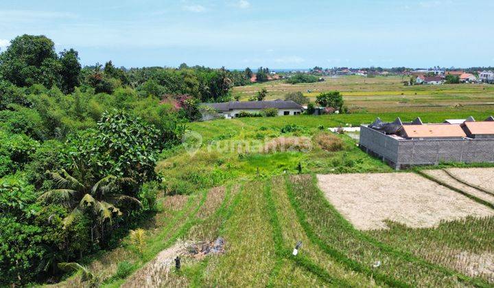 Rice Field View Land Only 8 Minutes To Kedungu Beach Tabanan Bali 2