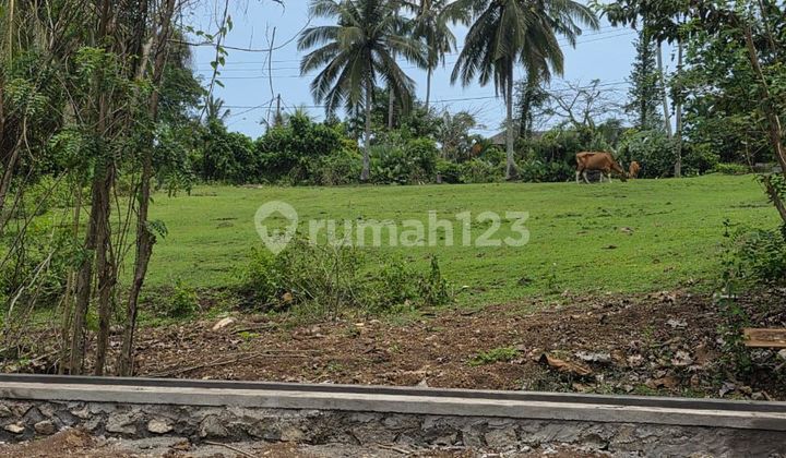 SHM Land Plot Only 500M From Bonian Beach Tabanan Bali SHM Land Plot Only 500M From Bonian Beach Tabanan Bali