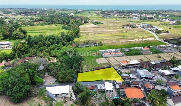 Rice Field View Land Only 8 Minutes To Kedungu Beach Tabanan Bali 1