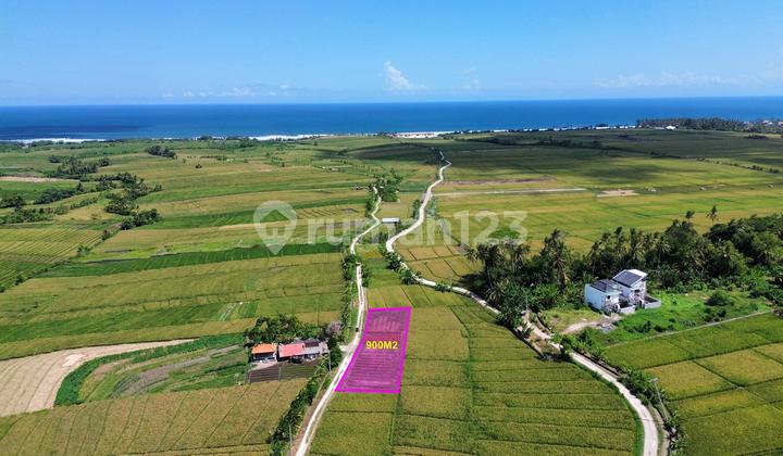 Land Suitable For Villa Near Tibubiu Kerambitan Beach Pasut Tabanan Land Suitable For Villa Near Tibubiu Kerambitan Beach Pasut Tabanan