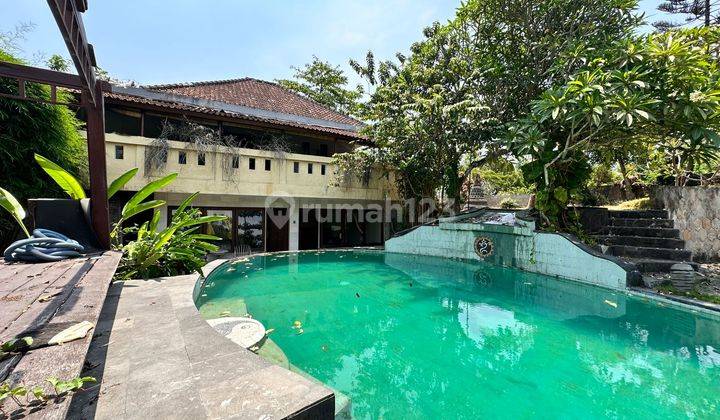 Villa 5 BR Hanya 10 Menit Dari Batu Bolong Canggu Bali 1