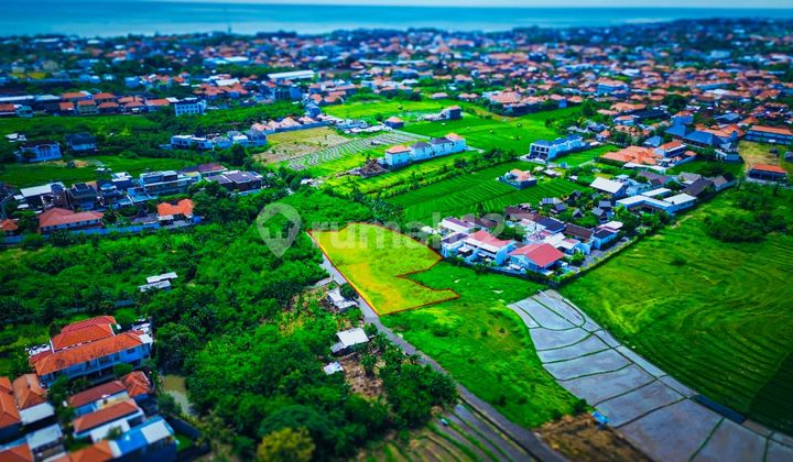 Tanah 29,5 Are SHM Pemandangan Sawah Dekat Pantai Bolong Bali Tanah 29,5 Are SHM Pemandangan Sawah Dekat Pantai Bolong Bali