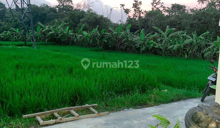 Private Villa 3 BR Ricefield View in Beraban Tanah Lot 2