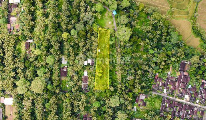 Tanah Murah Kontur Datar Strategis di Payangan Ubud 1