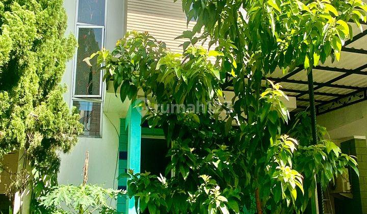 Rumah Siap Huni Bagus Shm Di Bsd, Bsd Sevilla 1