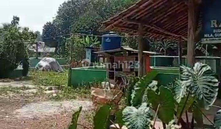 Tanah Parung Bogor Dijual Cepat Aja! 1