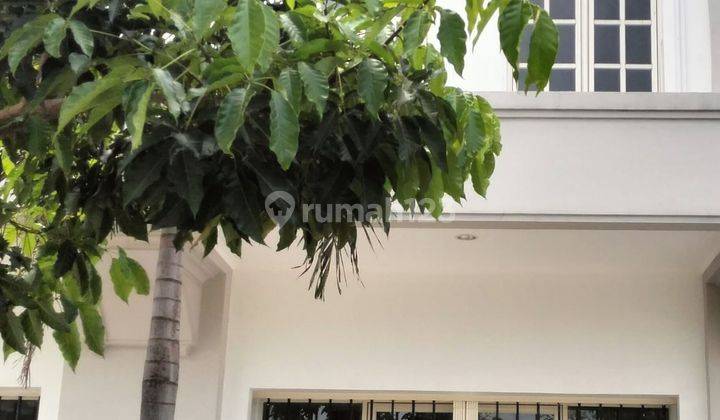 Disewakan Ruko The Plaza Shophouse Siap Pakai Lokasi di Podomoro Park Bandung 2