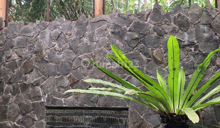 Dijual Rumah Bagus Sejuk Daerah Turi 3
