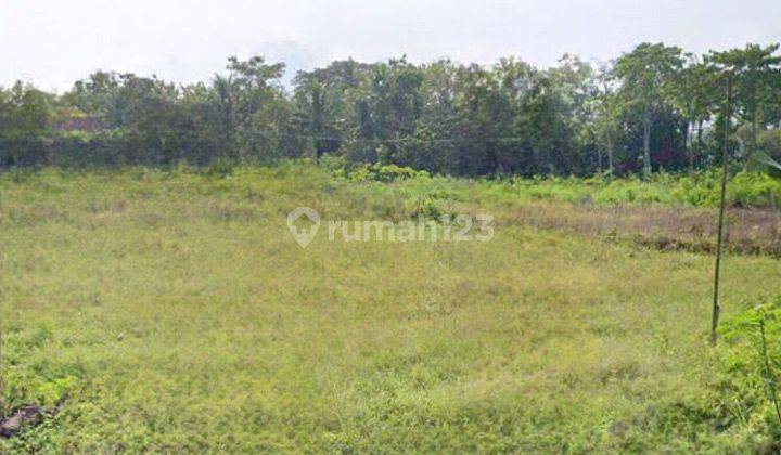 Mr 063455 Dijual Tanah 1 Menit Dari Jl Raya Wates Yogya Harga Murah 1