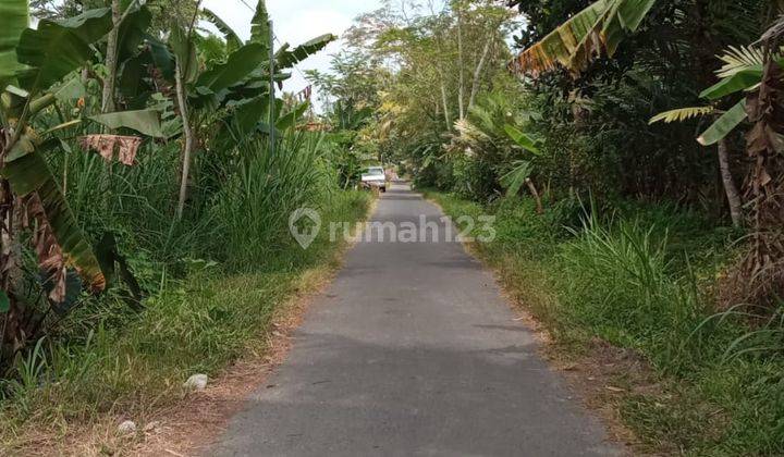 Tanah Murah 1800m²  Area Jogja Utara Cocok untuk Usaha 2