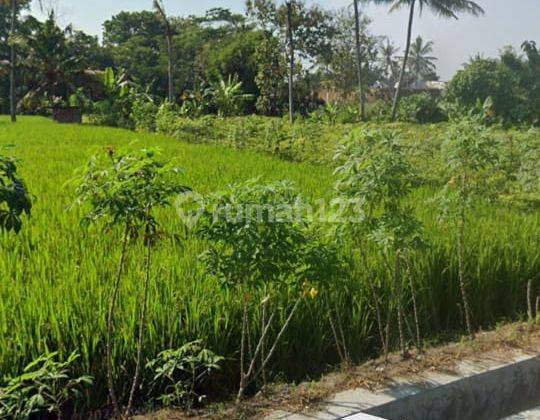 Tanah Jual Shm Area Jogja Utara Akses Jalan Depan Aspal 1