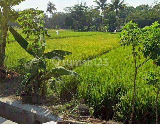 Tanah Jual Shm Area Jogja Utara Akses Jalan Depan Aspal 2