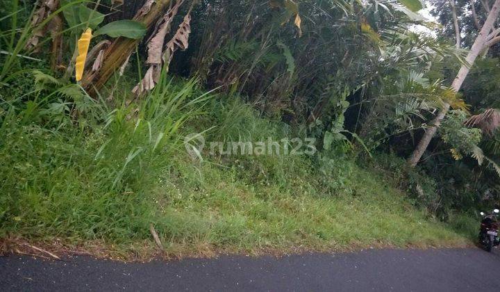 Tanah Murah 1800m²  Area Jogja Utara Cocok untuk Usaha 1