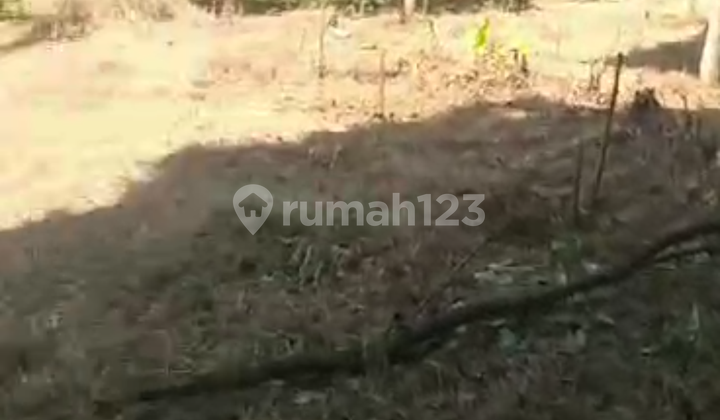 Tanah Siap Bangun di Ciapus Bogor 43000 m² 1
