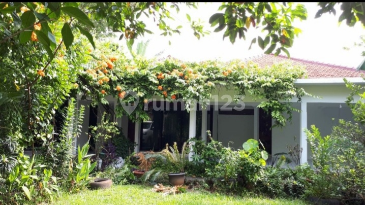 Rumah Nyaman dan Asri di Kemang Jakarta Selatan -Nrl