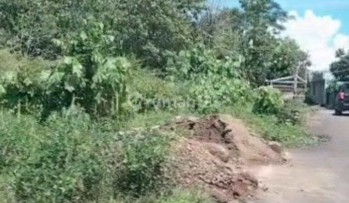 Dijual Tanah Kosong Cocok Untuk Dibangun Perumahan Desa Ciawigebang Gunung Cina Jawa Barat Kuningan 2