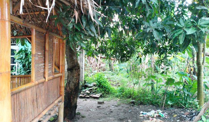 Dijual Tanah Premium Letak Strategis Pegedangan,,tanggerang 2