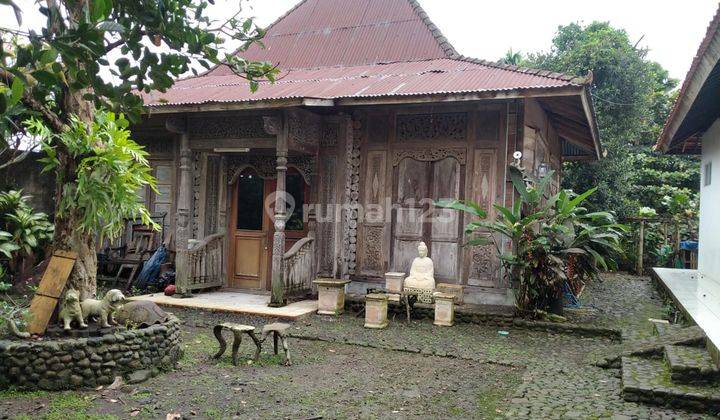 Dijual Rumah Bangunan Lama di Ciomas Bogor 2