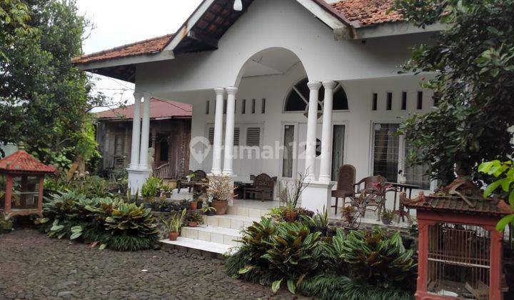 Dijual Rumah Bangunan Lama di Ciomas Bogor 1