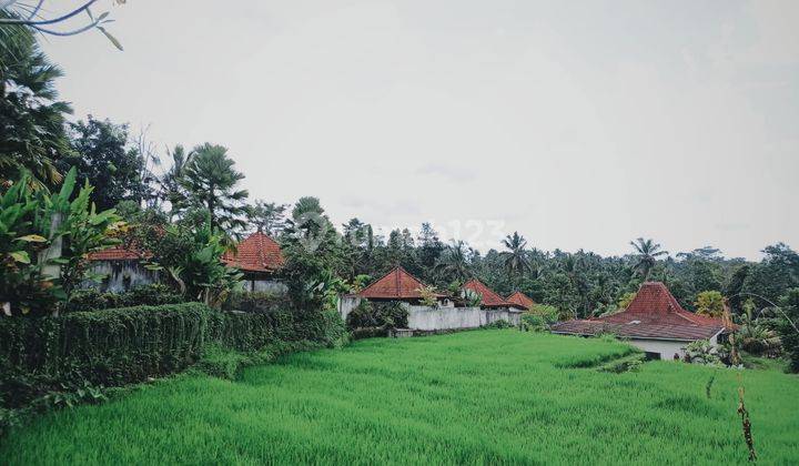 Dijual Villa Second Cocok Untuk Disewakan Di Tegalalang Ubud  2