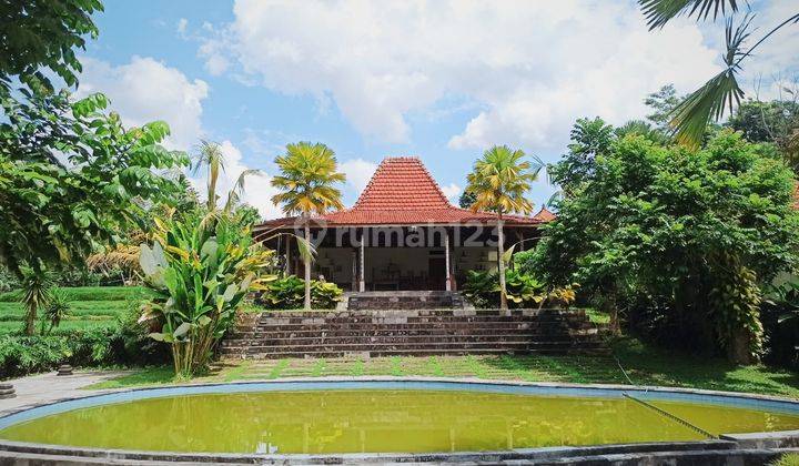 Dijual Villa Second Cocok Untuk Disewakan Di Tegalalang Ubud  8