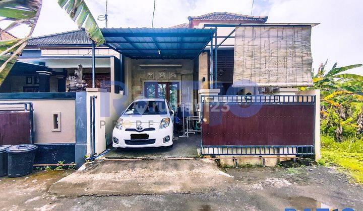 Miliki Segera Rumah Under 600 Juta Di Batubulan Bali 1
