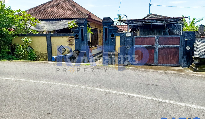 Rumah 4 Kamar Luas 2,6 Are Dekat Baypass Ib Mantra  2
